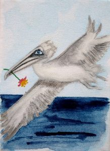 Pelican in love